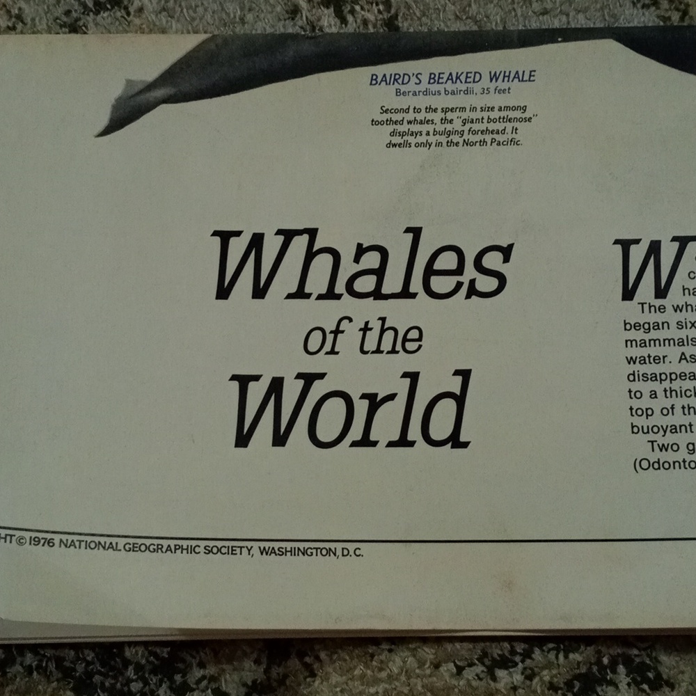 National Geographic Vintage Copyright Page